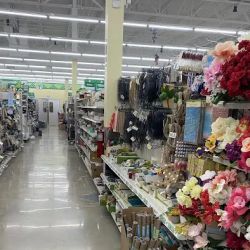 Dollar Tree ico