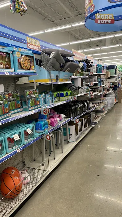 Dollar Tree 8