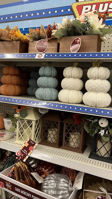 Dollar Tree 7