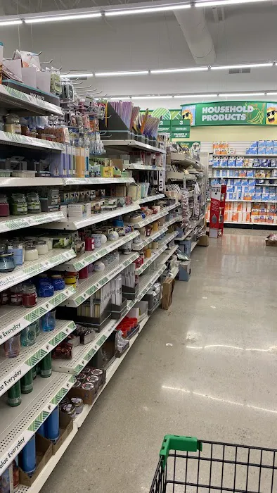 Dollar Tree 6