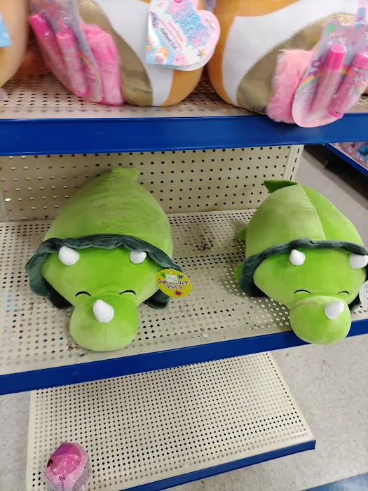 Roses Discount Store 6