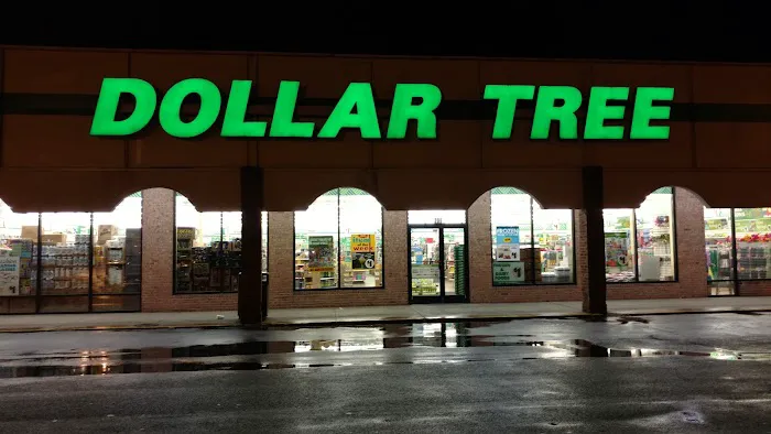 Dollar Tree 8