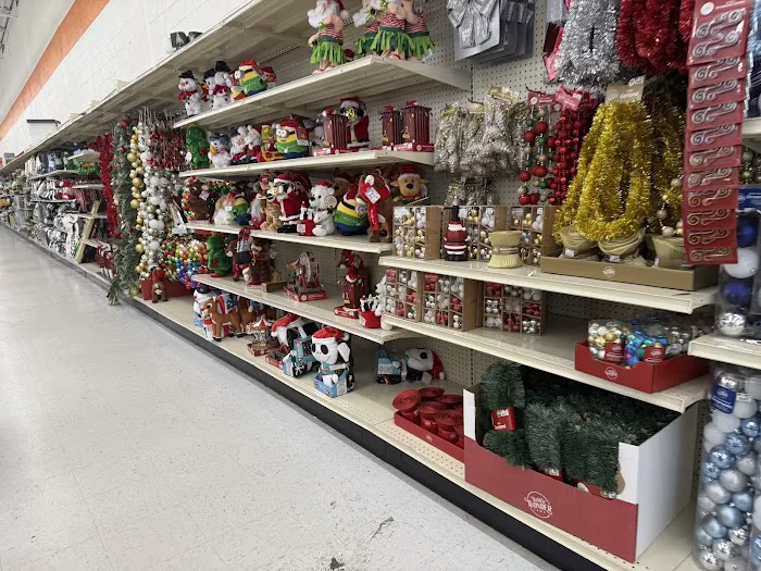 Big Lots 9