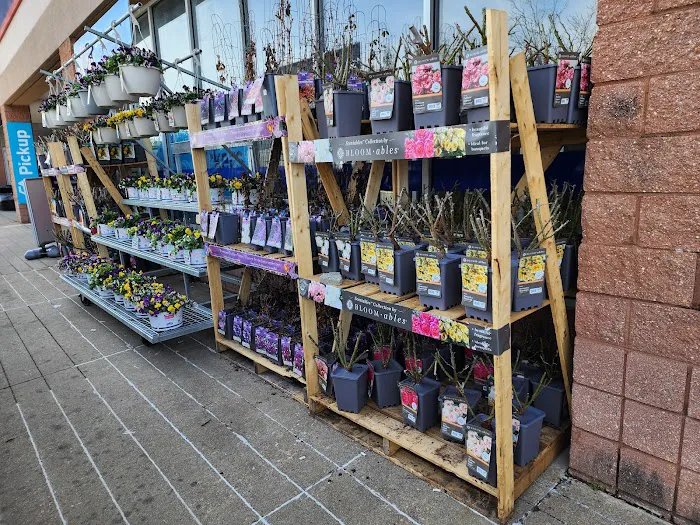 Lowe's Home Improvement 5
