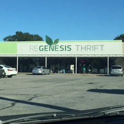 Regenesis Thrift ico