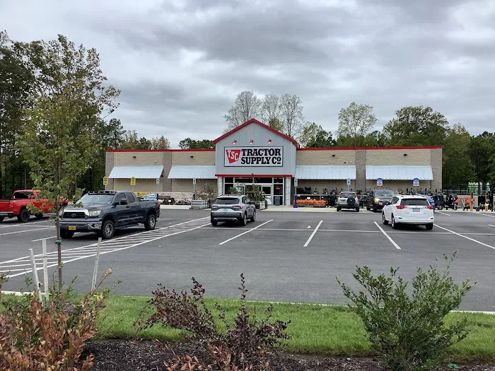 Tractor Supply Co. 2