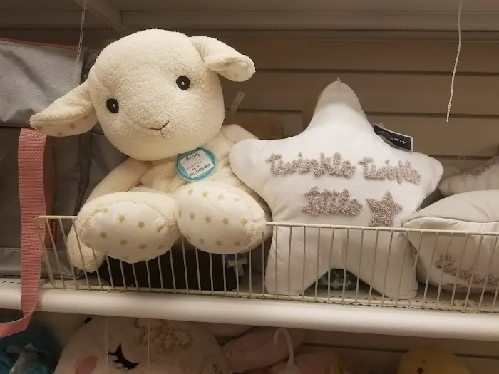Marshalls 8