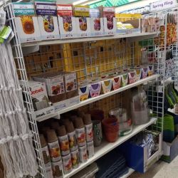 Dollar Tree ico