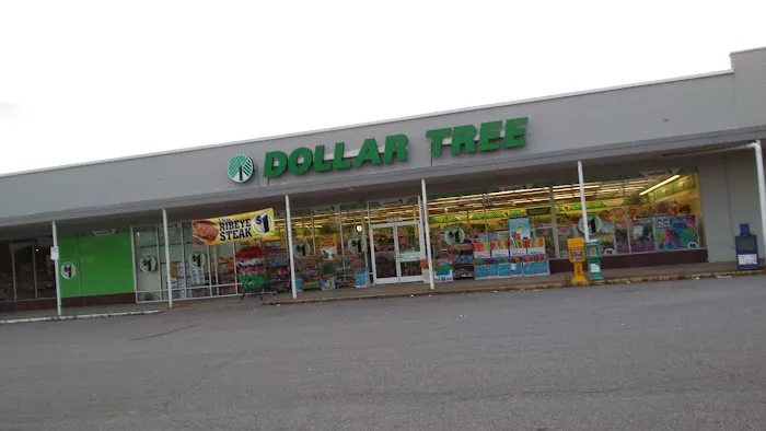 Dollar Tree 1