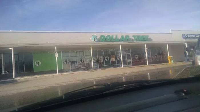 Dollar Tree 6
