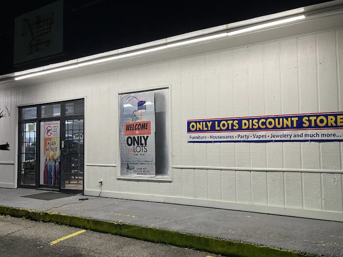 Only Lots Discount store 0