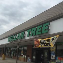 Dollar Tree ico