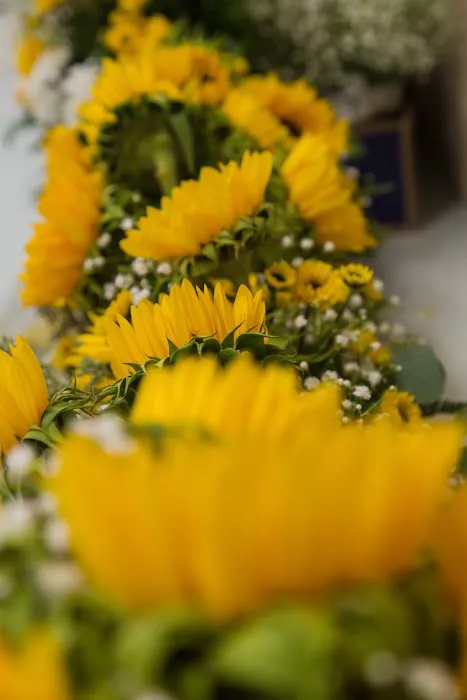 Petals & Bows Florist 0