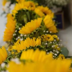 Petals & Bows Florist ico