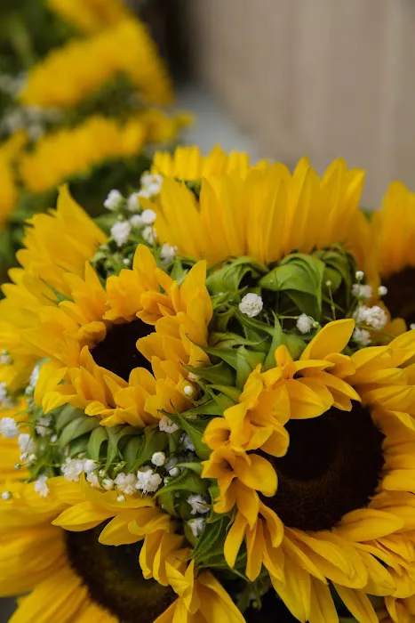 Petals & Bows Florist 2