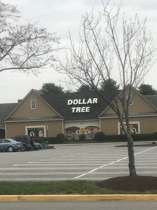 Dollar Tree 4