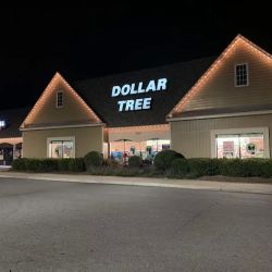 Dollar Tree ico