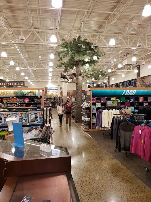 Cabela's 2