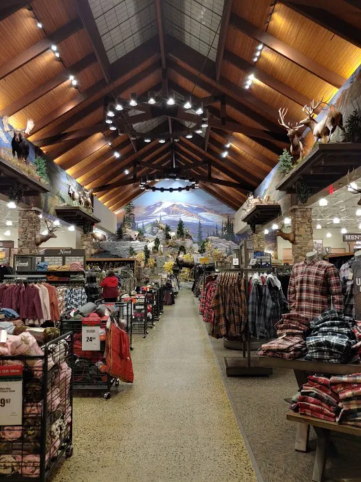 Cabela's 3