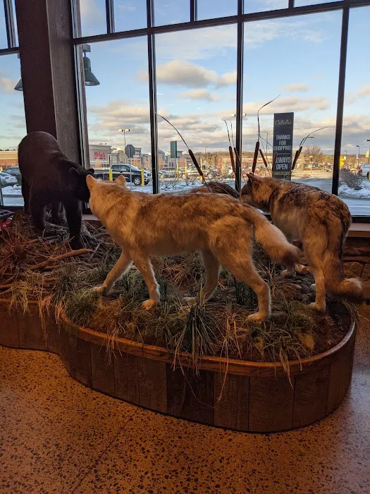 Cabela's 5