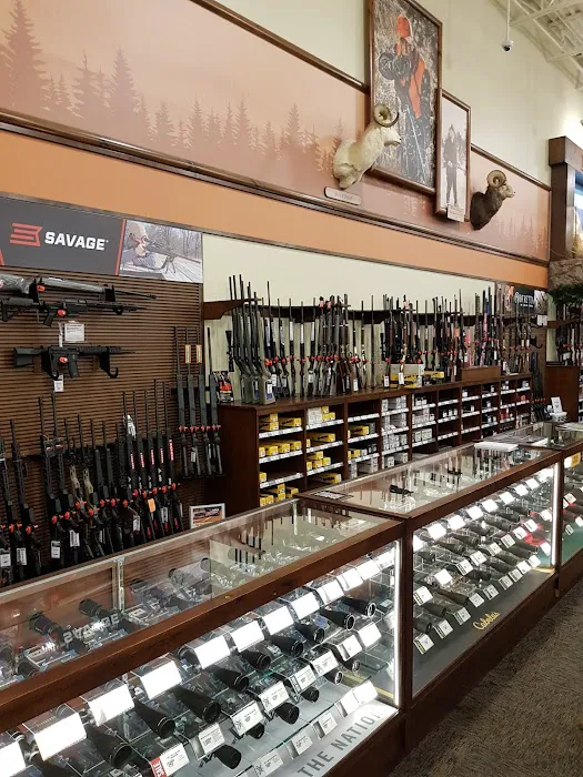 Cabela's 7