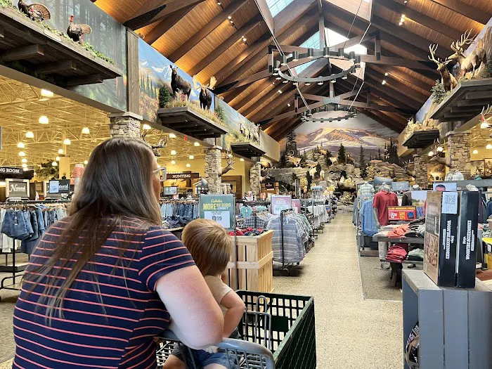 Cabela's 6
