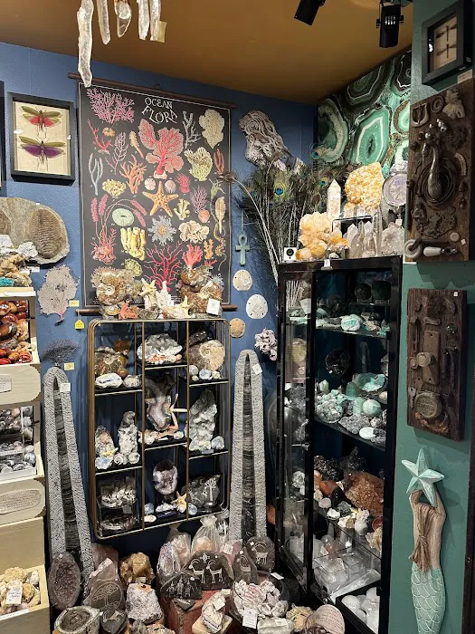 The Stone Femme Studio 0