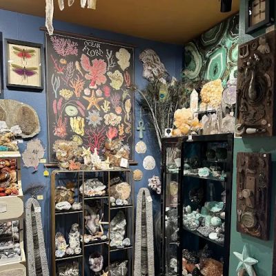 The Stone Femme Studio