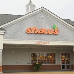 Shaw's ico