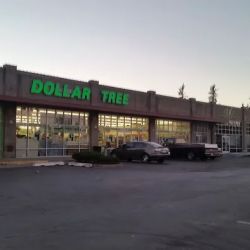 Dollar Tree ico