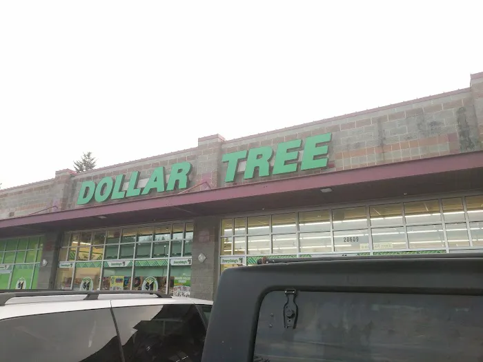 Dollar Tree 7