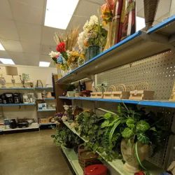 St Vincent de Paul Thrift Store ico