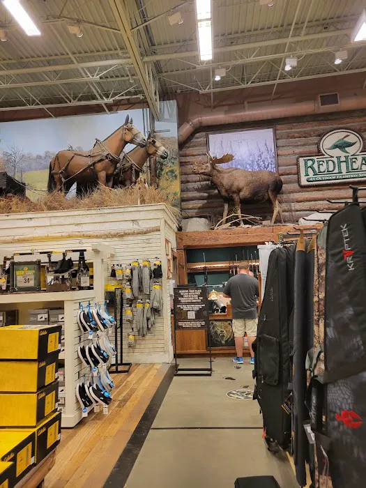 Bass Pro Shops 6