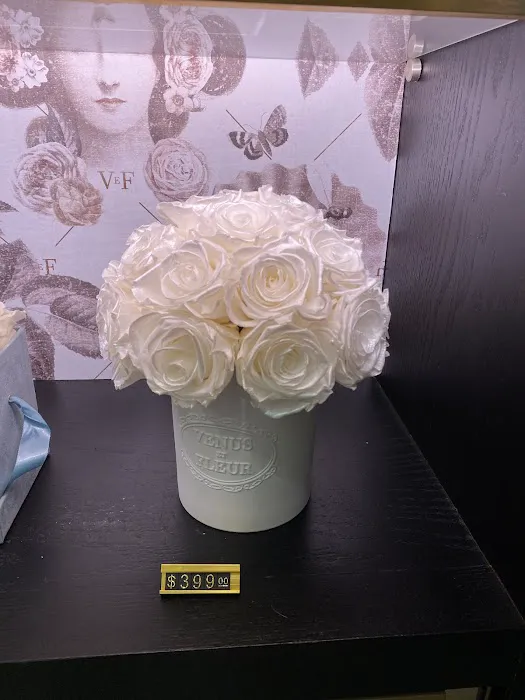 Venus et Fleur 4