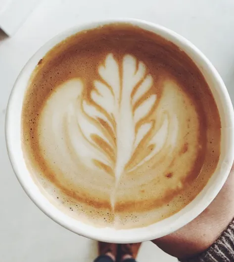 coffee at noon / bay head 0