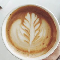 coffee at noon / bay head ico