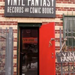 Vinyl Fantasy ico