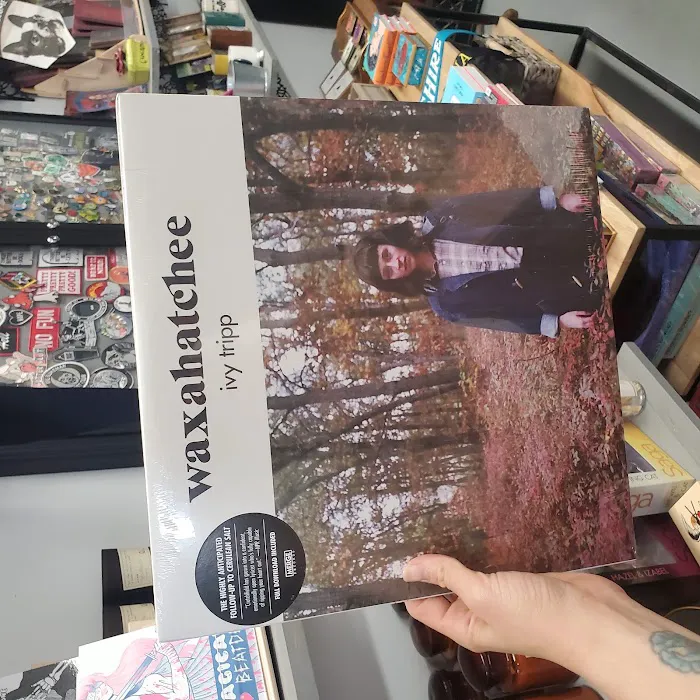 Vinyl Fantasy 6