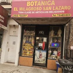 Botanica San Lazaro ico