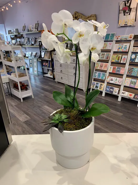 Estero Market Florist 6