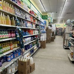 Dollar Tree ico