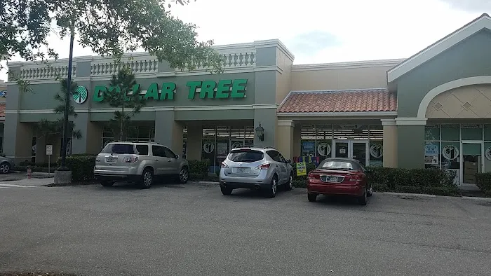 Dollar Tree 4