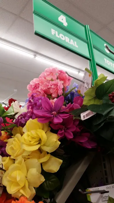 Dollar Tree 7