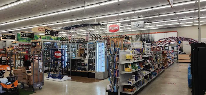 Sunshine Ace Hardware - San Carlos 0