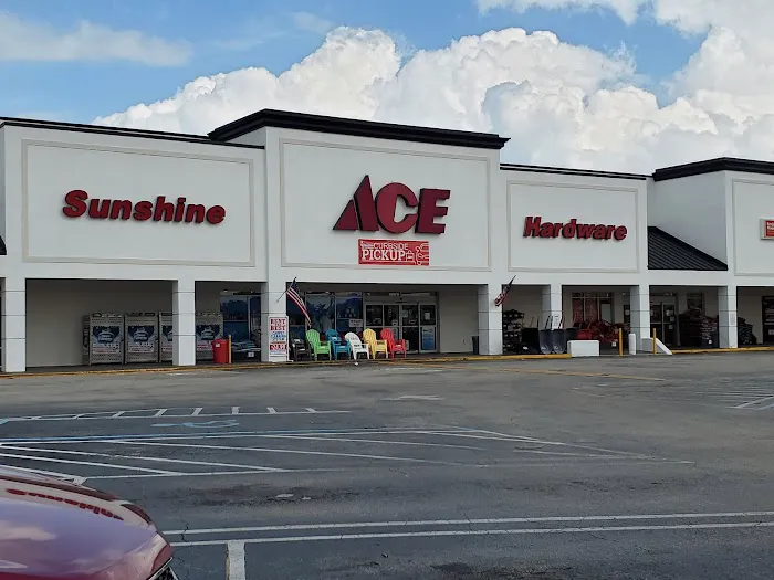Sunshine Ace Hardware - San Carlos 2