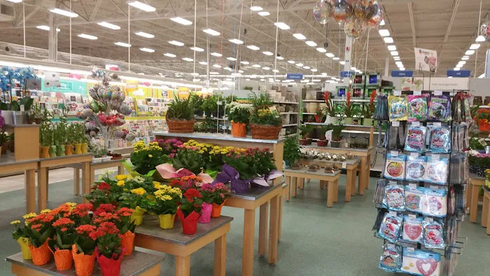 Meijer 3