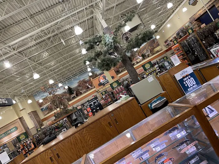 Cabela's 6