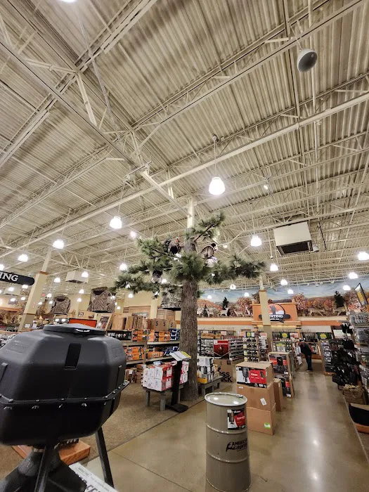 Cabela's 3