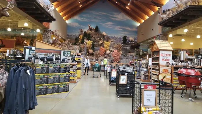 Cabela's 8