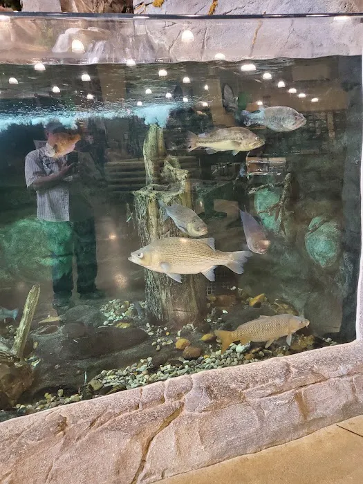 Cabela's 7
